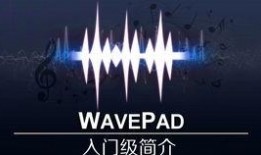 娱乐大爆料剪辑软件下载,轻松剪辑，打造个性短视频！