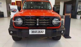 魏派坦克500最新爆料,硬核实力再升级，揭秘最新爆料！